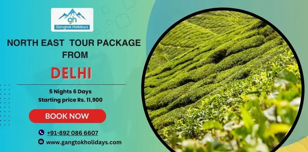 North East Tour Package from Delhi