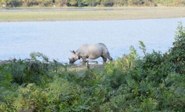 3 Days Assam Meghalaya Tour Packages