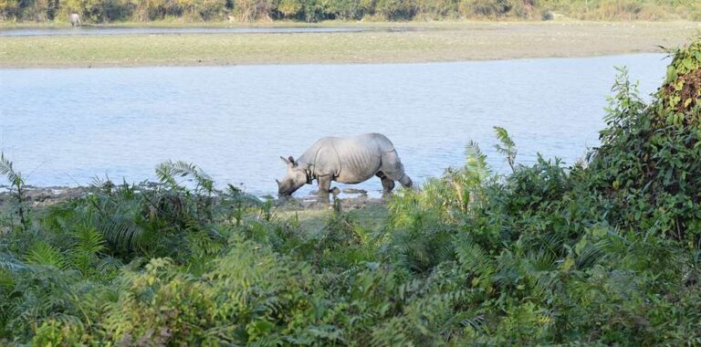 3 Days Assam Meghalaya Tour Package