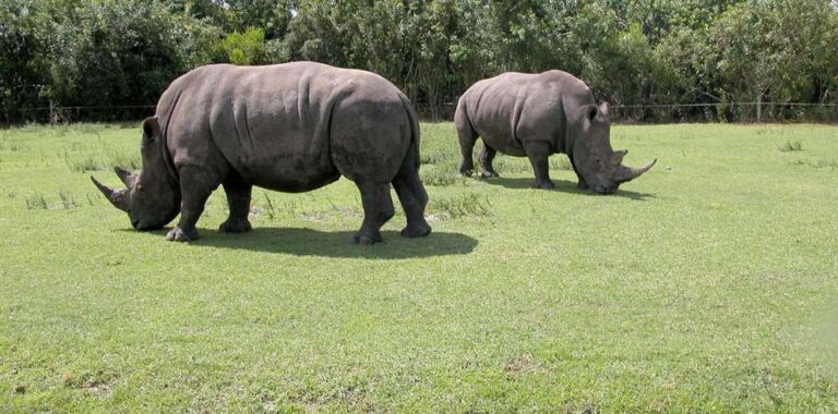 4 Days Assam Meghalaya Tour Package