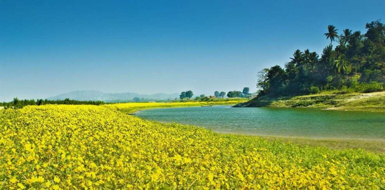 5 Days Assam Meghalaya Tour Package