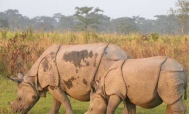 6 Days Assam Meghalaya Tour Packages