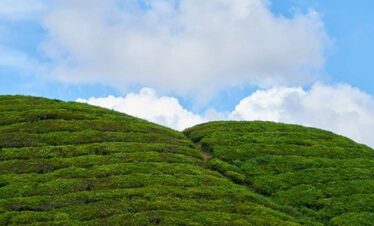 Assam Meghalaya Tour Package from Ahmedabad