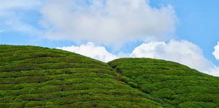 Assam Meghalaya Tour Package from Ahmedabad