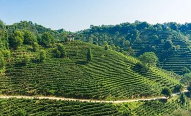 Assam Meghalaya Tour Package from Bengaluru
