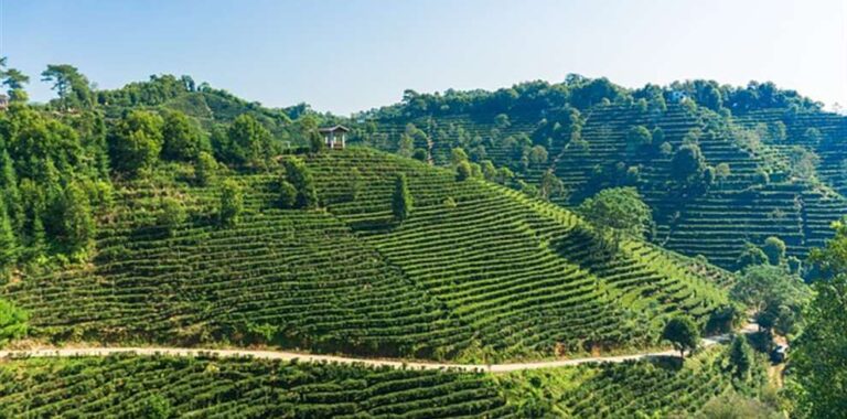 Assam Meghalaya Tour Package from Bengaluru