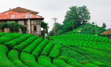 Assam Meghalaya Tour Package from Chennai