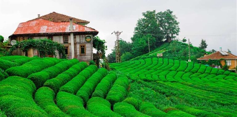 Assam Meghalaya Tour Package from Chennai