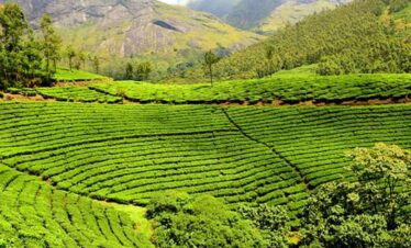 Assam Meghalaya Tour Package from Delhi