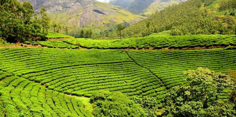 Assam Meghalaya Tour Package from Delhi