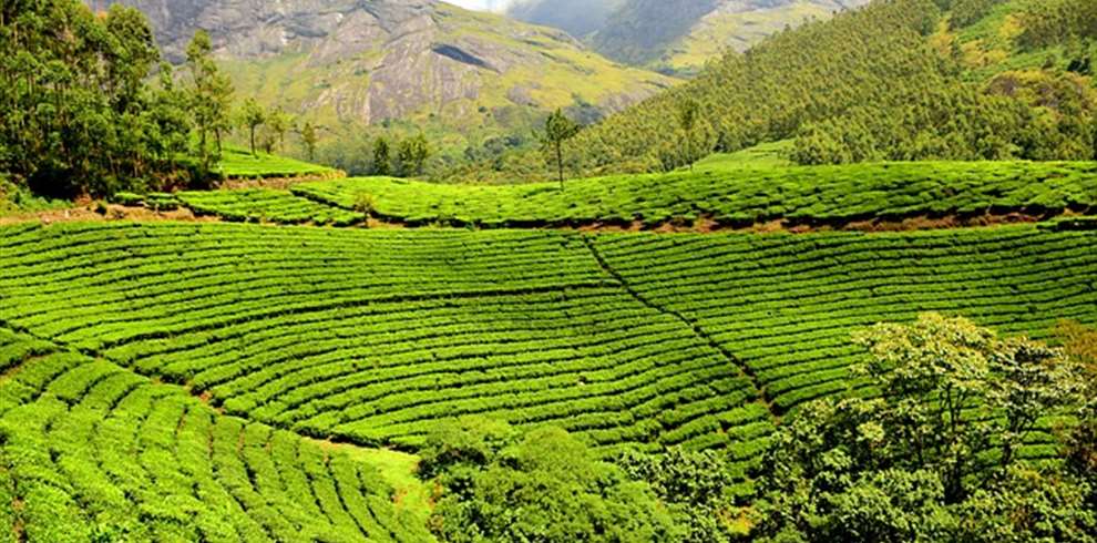 Assam Meghalaya Tour Package from Delhi