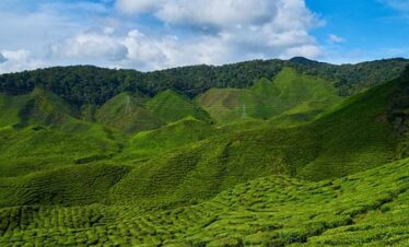 Assam Meghalaya Tour Package from Kochi