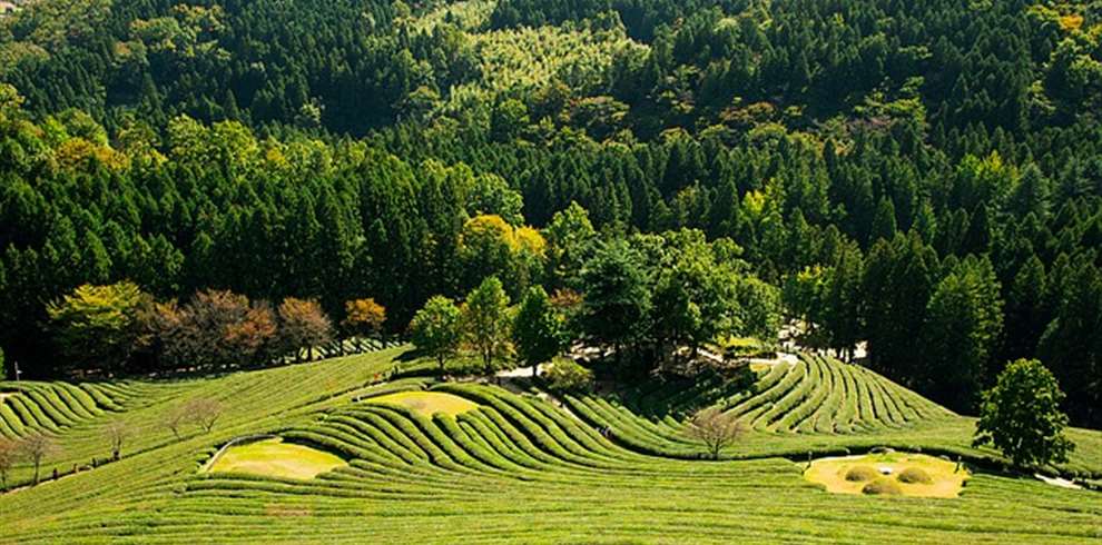 Assam Meghalaya Tour Package from Pune