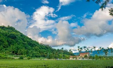Assam Meghalaya Tour Package from Surat