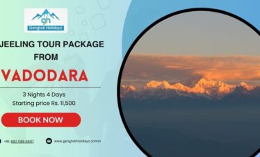 Darjeeling Tour Package from Vadodara