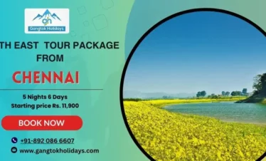 North East Tour Package from Chennai