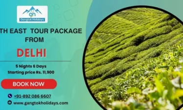 North East Tour Package from Delhi