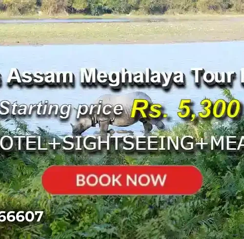3 Days Assam Meghalaya Tour Package