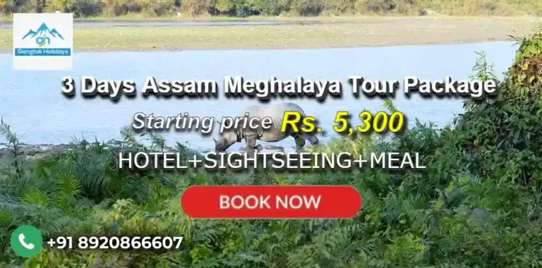 3 Days Assam Meghalaya Tour Package