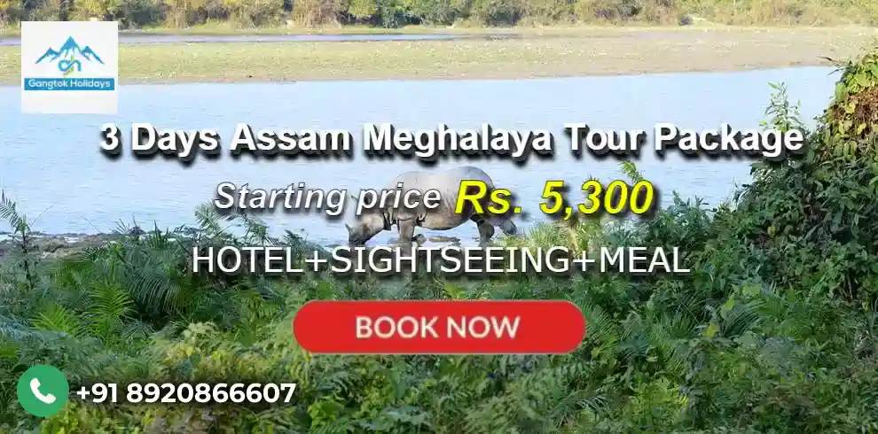 3 Days Assam Meghalaya Tour Package