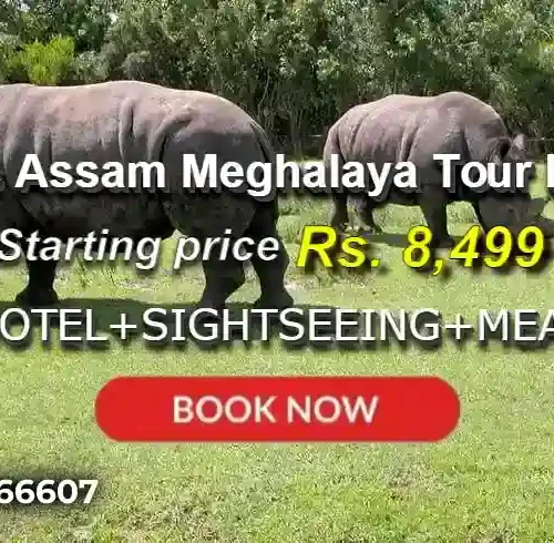 4 Days Assam Meghalaya Tour Package