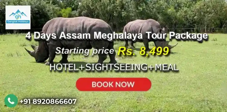 4 Days Assam Meghalaya Tour Package