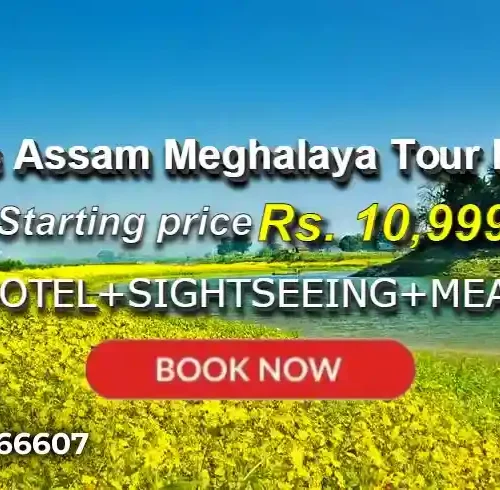 5 Days Assam Meghalaya Tour Package