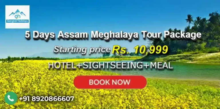 5 Days Assam Meghalaya Tour Package