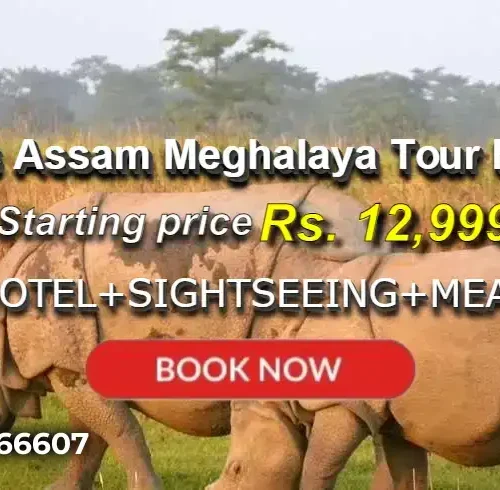 6 Days Assam Meghalaya Tour Package