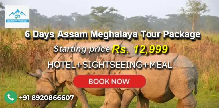 6 Days Assam Meghalaya Tour Package