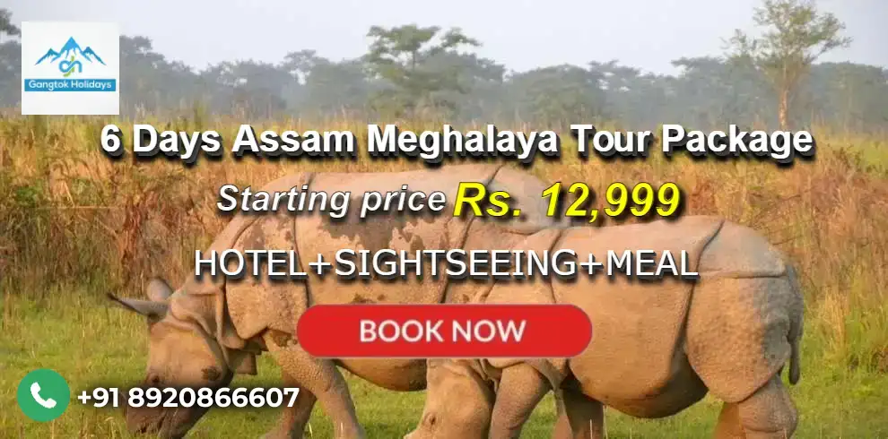6 Days Assam Meghalaya Tour Package
