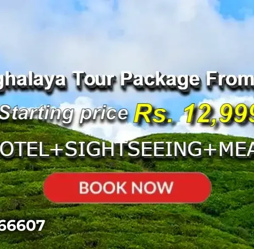 Assam Meghalaya Tour Package from Ahmedabad