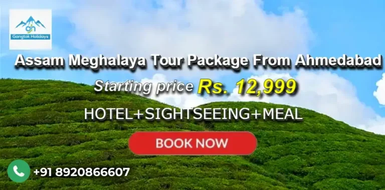 Assam Meghalaya Tour Package from Ahmedabad