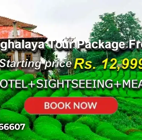 Assam Meghalaya Tour Package from Chennai