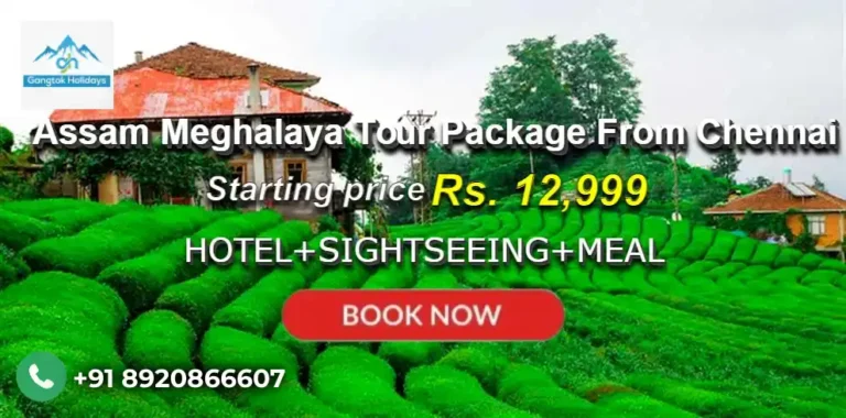 Assam Meghalaya Tour Package from Chennai