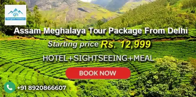 Assam Meghalaya Tour Package from Delhi