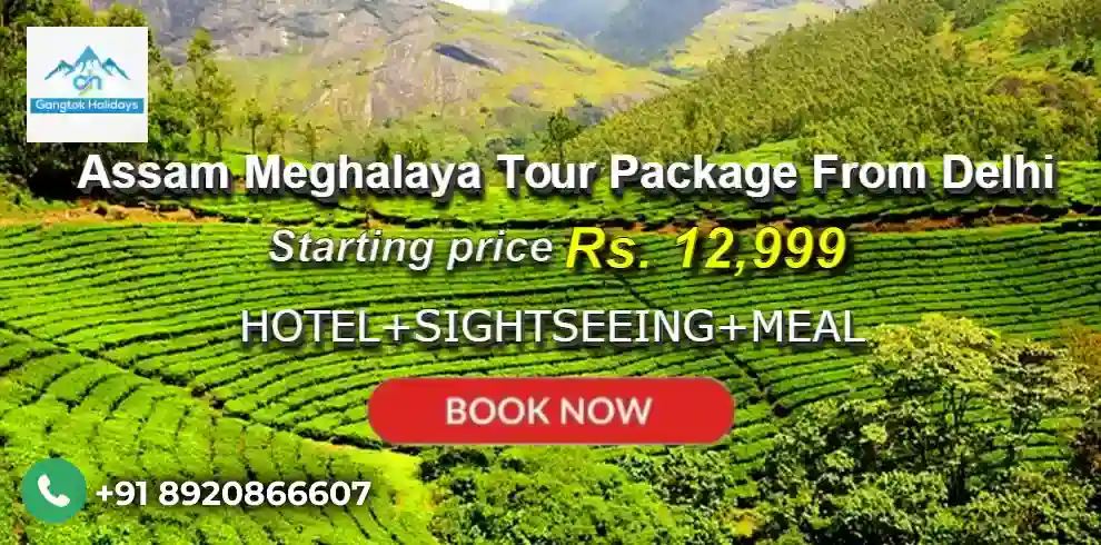 Assam Meghalaya Tour Package from Delhi