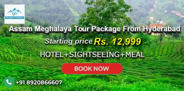 Assam Meghalaya Tour Package from Hyderabad