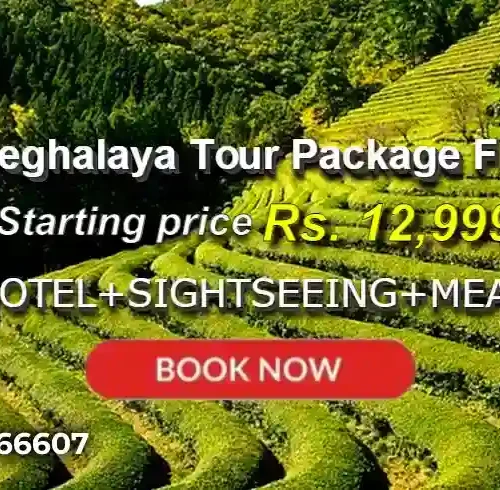 Assam Meghalaya Tour Package from Jaipur