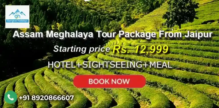 Assam Meghalaya Tour Package from Jaipur