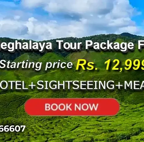 Assam Meghalaya Tour Package from Kochi