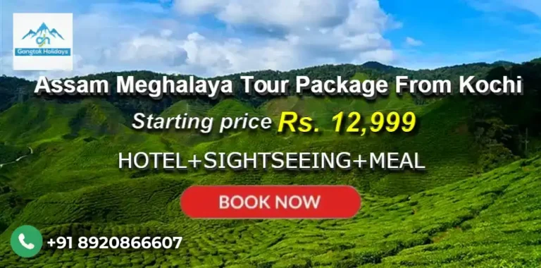 Assam Meghalaya Tour Package from Kochi