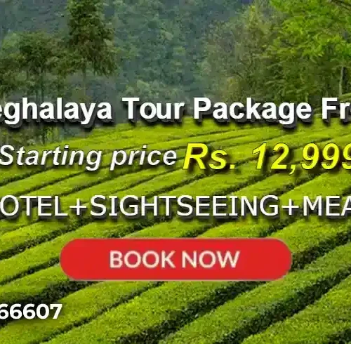 Assam Meghalaya Tour Package from Mumbai