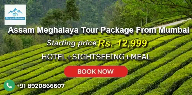 Assam Meghalaya Tour Package from Mumbai