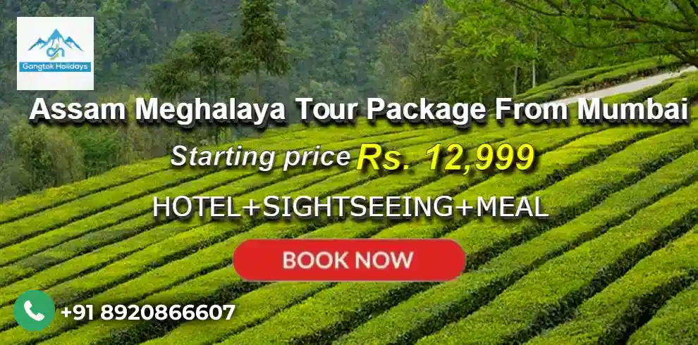 Assam Meghalaya Tour Package from Mumbai