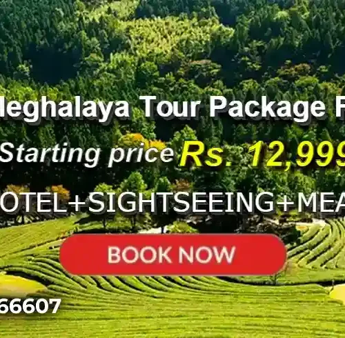 Assam Meghalaya Tour Package from Pune