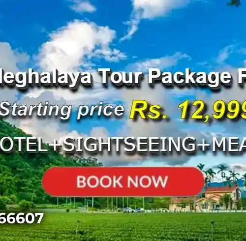 Assam Meghalaya Tour Package from Surat
