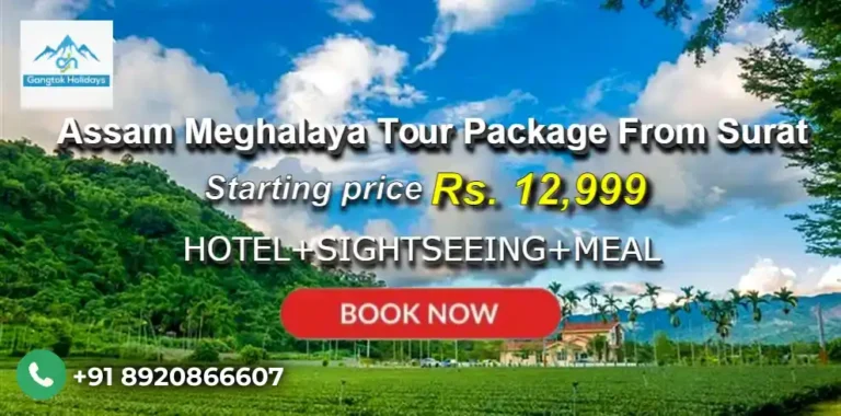Assam Meghalaya Tour Package from Surat